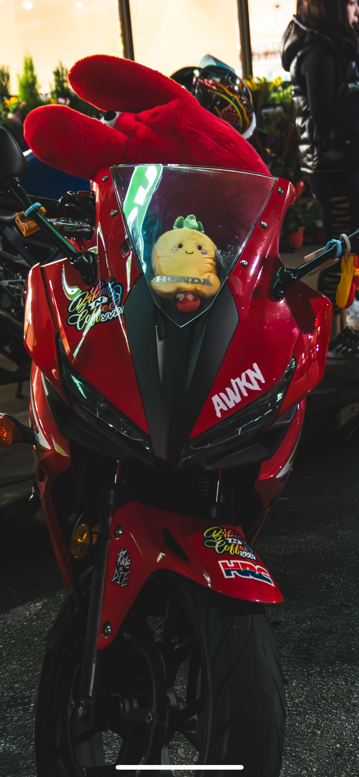 AWKN sticker